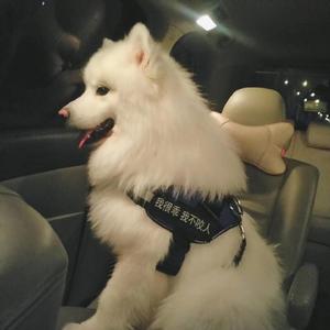 玩弄两个闷骚老熟女
