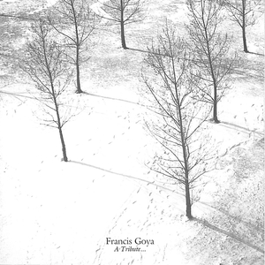 玩弄两个闷骚老熟女
